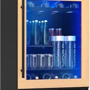 610Bd-mRPL._AC_SX342_SY445_-1 Zephyr Presrv Beverage and Wine Fridge PRB24C01CPG detailed review and performance insights