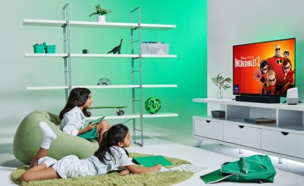 61M74ykkmTS._AC_SL1399_ VIZIO 43" Smart LED TV D43fx-F4 review Full HD features explained