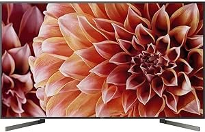 61NvKSgo9L._AC_SY300_SX300_ Sony XBR65X900F 4K Ultra HD Smart LED TV review Alexa compatibility insights