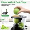 71NXc-SUF7L._AC_SL1500_ Aeitto Cold Press Juicer review exploring high juice yield and easy cleaning