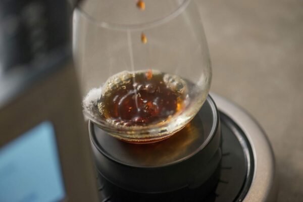 71Xopq-9J5L._AC_SL1500_ Breville Precision Brewer review exploring its versatility and performance for perfect coffee lovers