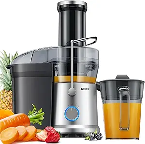 71ixHvuB3GL.__AC_SX300_SY300_QL70_FMwebp_ GDOR 1200W Juicer Review Centrifugal Juice Extractor with Wide Feed Chute