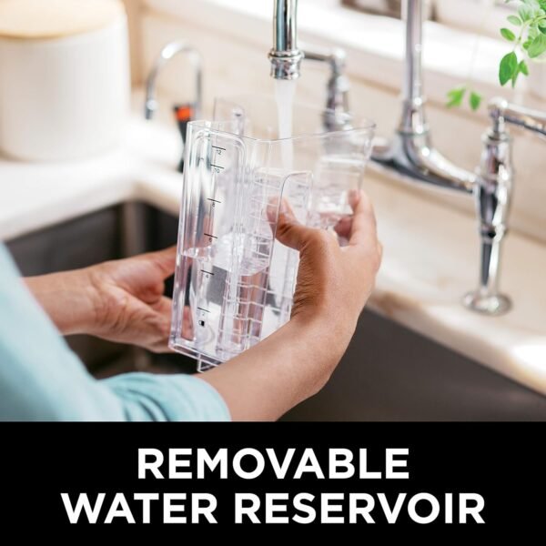 81mEMIWDZOL._AC_SL1500_ Ninja CE251 Coffee Maker Review Is This 12-Cup Brewer Worth It